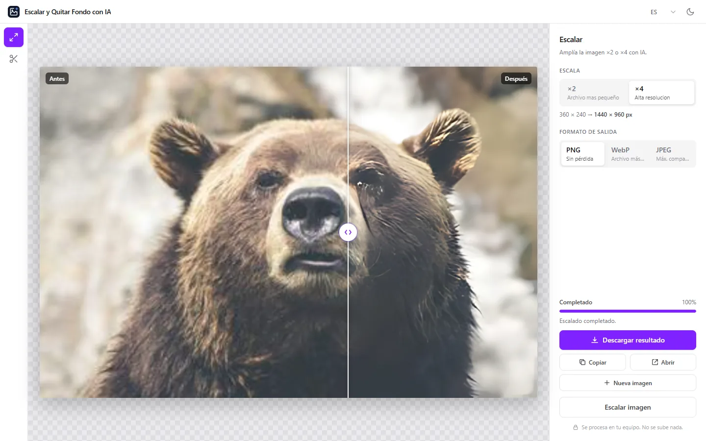 Una foto de un oso ampliada ×4, con el comparador antes/después
